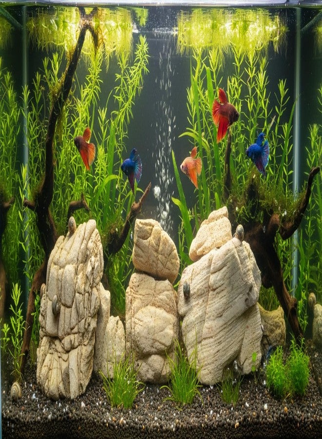 RUKDA Natural Elephant Skin Stone for Aquarium & Aquascaping - Textured Elephant Rock Hardscape for Betta, Shrimp & Planted Tanks (2.7, Kilograms) - Image 4